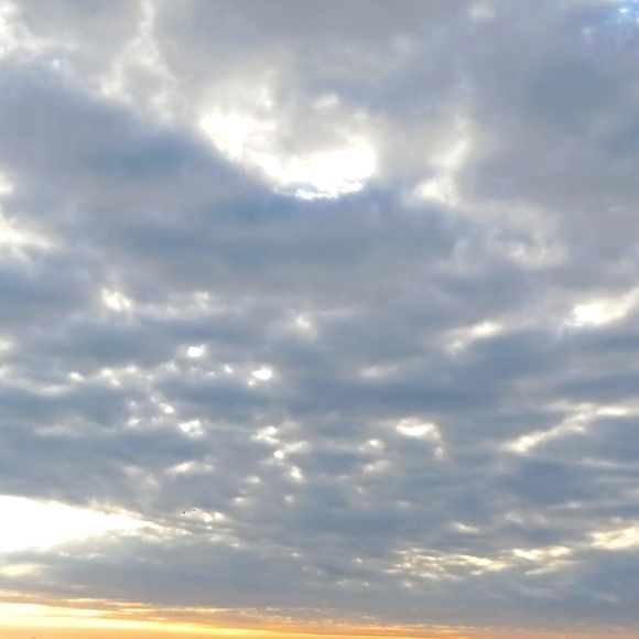 Meet your Posher, L'e - Picture 1 of 2